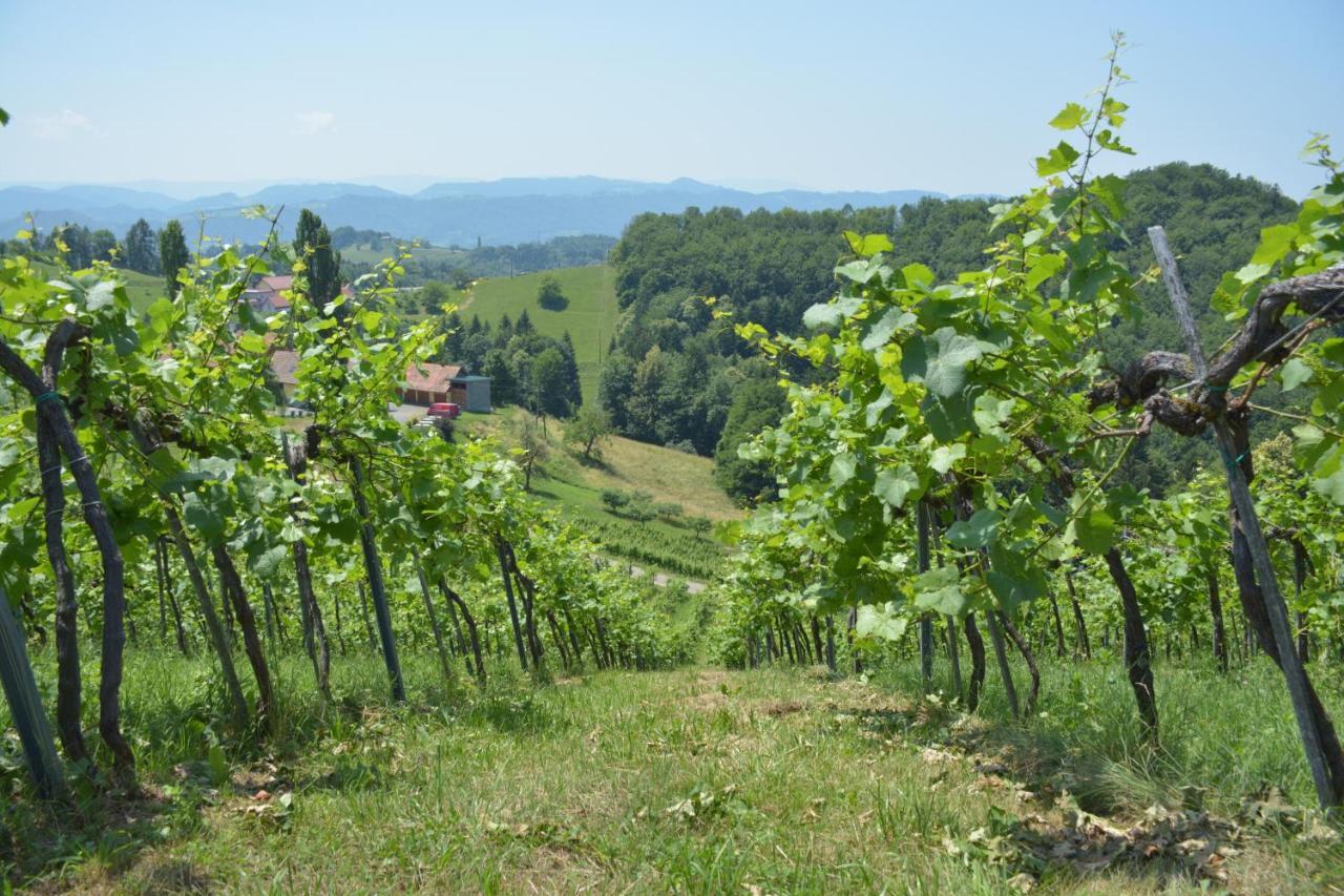 Weingut Pugl Appartement Leibnitz Buitenkant foto